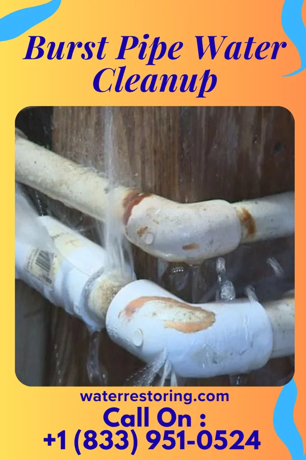Burst Pipe Water Cleanup in La Cygne, KS