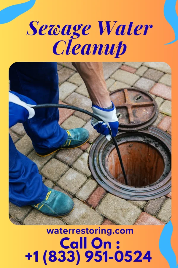 Sewage Water Cleanup in La Cygne, KS