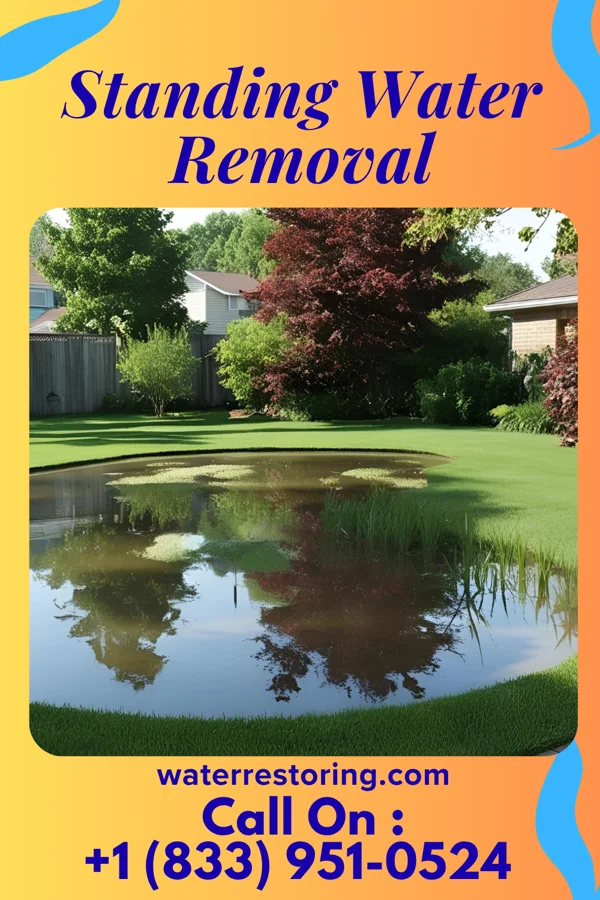 Standing Water Removal in La Cygne, KS